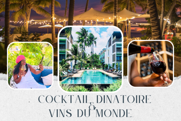 cockail dinatoire vins du monde au ness